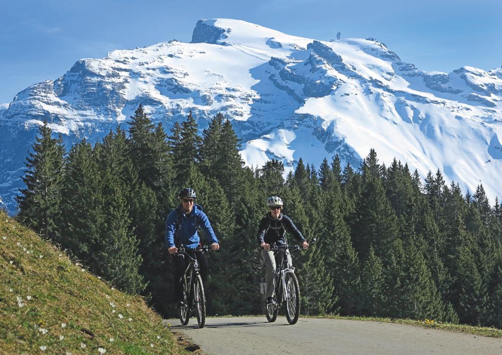 Hotel Engelberg "Mein Trail Hotel" المظهر الخارجي الصورة